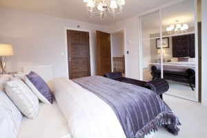 chestnut shadwell 20 sm.jpg